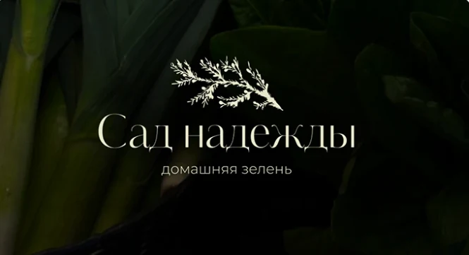Айдентика и упаковка бренда домашней зелени
